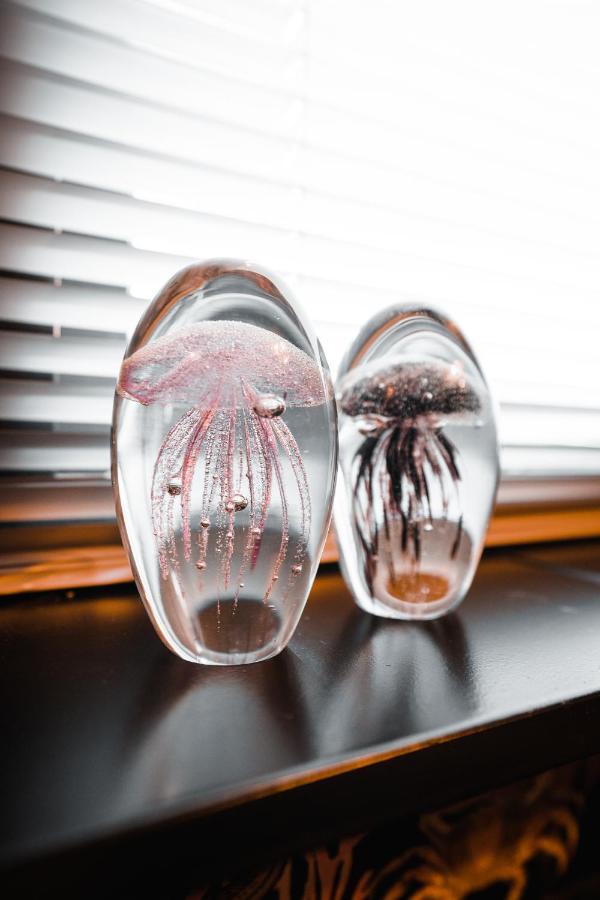 Apartamento Cosy Aquarium For A Couple Or Friends Groninga